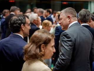 Fotogaléria k článku "Robert Fico po rokovaní s predsedníčkou EK: Slovensko bude žiadať kompenzácie a výnimky"