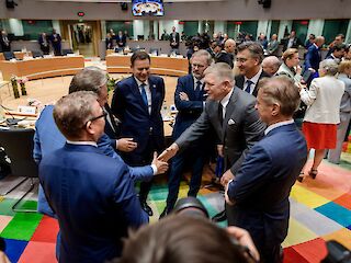 Fotogaléria k článku "Robert Fico po rokovaní s predsedníčkou EK: Slovensko bude žiadať kompenzácie a výnimky"