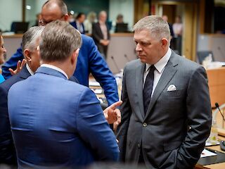 Fotogaléria k článku "Robert Fico po rokovaní s predsedníčkou EK: Slovensko bude žiadať kompenzácie a výnimky"
