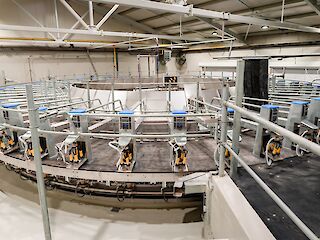 Fotogaléria k článku "Robert Fico na otvorení farmy v Horných Obdokovciach: Odmietame filozofiu, že sa dá nakúpiť v zahraničí"