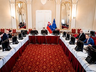 Fotogaléria k článku "Vláda vykoná veľký audit fungovania a financovania mimovládnych organizácií na Slovensku"